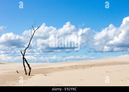 Die Wanderdünen im Slowinski Nationalpark, Polen Stockfoto