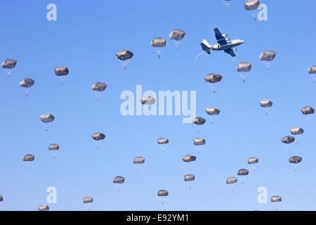 Fallschirmjäger in den Himmel Stockfoto