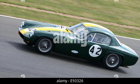 Lotus Elite, Royal Automobile Club Tourist Trophy für Pre-1963-GT-Fahrzeuge. Silverstone Classic 2014. Stockfoto