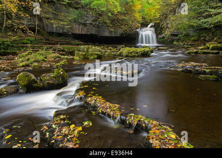 Herbst im Westen Burton verliebt sich in das Dorf West Burton, Yorkshire Dales National Park, Yorkshire, England, UK Stockfoto