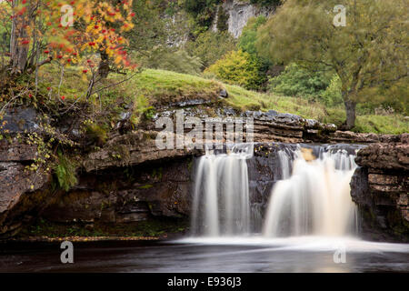 Herbst in Wain Wath Kraft auf die Fluß Senke in der Yorkshire Dales National Park, North Yorkshire, England, UK Stockfoto