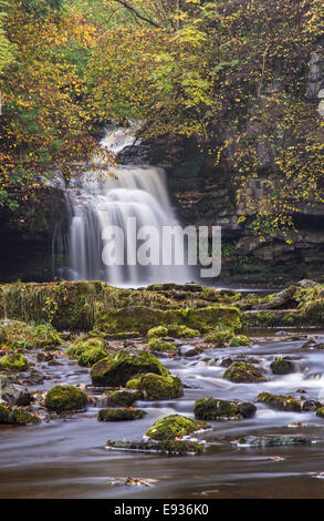 Herbst im Westen Burton verliebt sich in das Dorf West Burton, Yorkshire Dales National Park, Yorkshire, England, UK Stockfoto