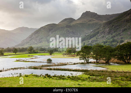 Überschwemmte Wiesen auf dem Fluß Brathay, Langdale, Nationalpark Lake District, Cumbria, England, UK Stockfoto