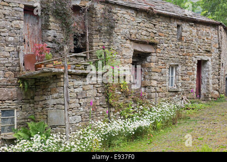 Traditionelle bäuerliche steinerne Scheune und Haus, Yorkshire Dales National Park, North Yorkshire, England, UK Stockfoto