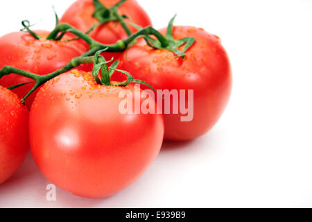 Reife rote Tomaten mit Wasser Tropfen auf einem Ast auf weißem Hintergrund für den Einsatz als Zutaten kochen. Frisches Gemüse. Stockfoto