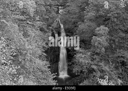 Schwarz Auslauf Wasserfall in der Nähe von Pitlochry im Herbst Stockfoto