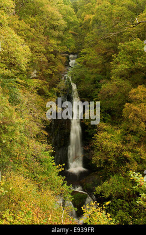 Schwarz Auslauf Wasserfall in der Nähe von Pitlochry im Herbst Stockfoto