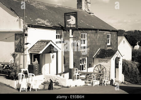 Die Schweine Nase Inn at East Prawle, Devon Stockfoto