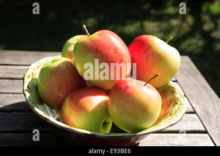 2836. James trauert Äpfel, UK Stockfoto