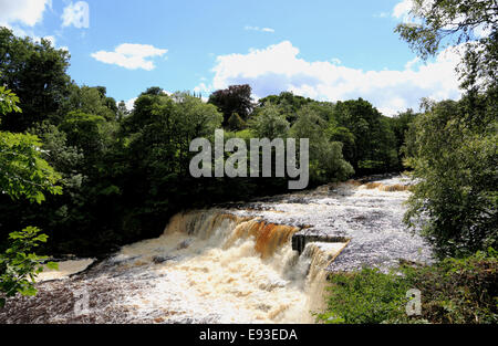 3290. nahen Aysgarth Falls River Ure, Aysgarth, Wensleydale, North Yorkshire, Großbritannien Stockfoto