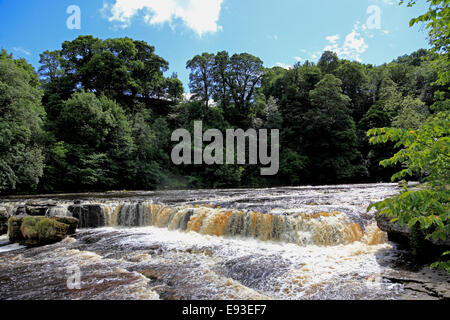 3295 obere Aysgarth Falls River Ure, Aysgarth, Wensleydale, North Yorkshire, Großbritannien Stockfoto