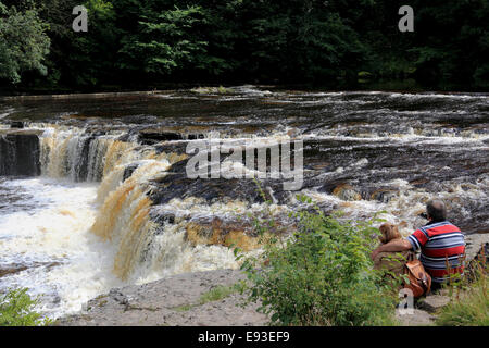 3296 obere Aysgarth Falls River Ure, Aysgarth, Wensleydale, North Yorkshire, Großbritannien Stockfoto