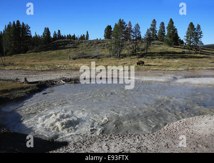 Buttern Kessel heißen Quellen im Yellowstone-Nationalpark, Wyoming USA Mud Volcano Bereich Stockfoto