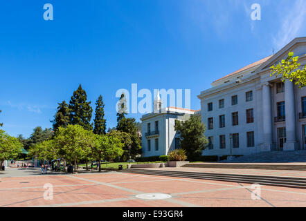 Campus der University of California, Berkeley in der Nähe von Sather Gate, Berkeley, Kalifornien, USA Stockfoto