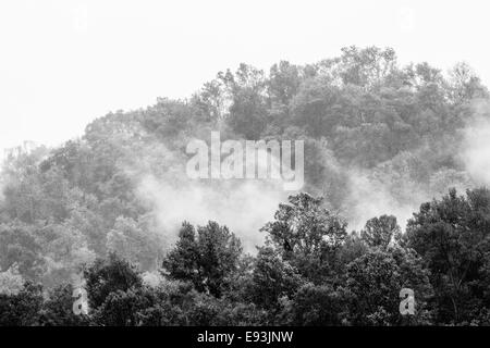 Nebel steigt aus den Bäumen in den Bergen rund um die kleine Gemeinde von Crown Hill in West Virginia an einem kühlen Herbstmorgen. Stockfoto