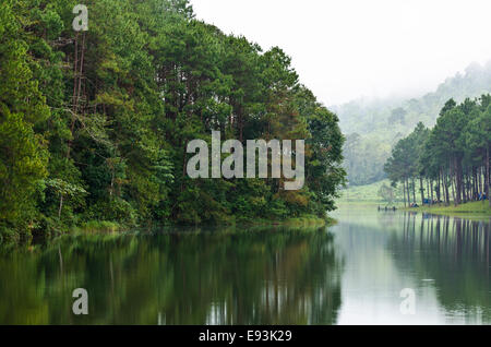 Naturlandschaft am Morgen von Seen und Pinienwälder in Pang Ung Nationalpark Mae Hong Son Provinz, Thailand Stockfoto