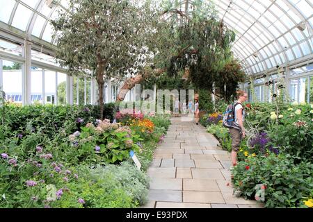 New York Botanical Garden Gewächshaus, Bronx, USA Stockfoto