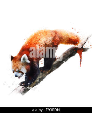 Digitales Aquarell von Roter Panda Stockfoto