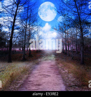 Vollmond und Woods.Digital Malerei Stockfoto