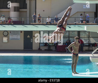 Stanford, Kalifornien, USA. 18. Oktober 2014. 18. Oktober beobachtet 2014.Stanford Neuling, TAREK ABDELGHANY, KRISTIAN IPSEN, wie er einen Praxis-Tauchgang vor ihrer Konkurrenz gegen die Hawaii Rainbow Warriors bei Avery Aquatic Center am Samstag, 18. Oktober 2014 findet. Bildnachweis: Tracy Barbutes/ZUMA Draht/Alamy Live-Nachrichten Stockfoto