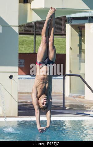 Stanford, Kalifornien, USA. 18. Oktober 2014. 18. Oktober tritt 2014.Stanford Senior, KRISTIAN IPSEN, das Wasser während der 3-Meter-Sprungbrett-Wettbewerb gegen die Hawaii Rainbow Warriors bei Avery Aquatic Center auf Samstag, 18. Oktober 2014. Bildnachweis: Tracy Barbutes/ZUMA Draht/Alamy Live-Nachrichten Stockfoto