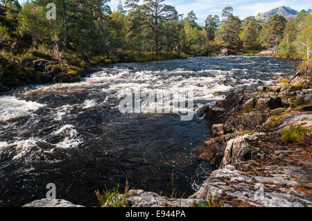 Blick nach Westen entlang der stürzenden Wasser von Garbh Uisge, Glen Affric, Highlands, Schottland. Stockfoto