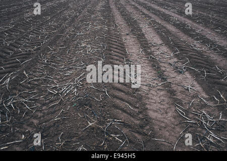 Schlammige Spuren im Feld Stockfoto