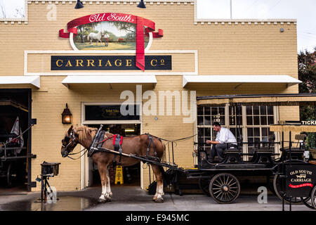 Ein Sightseeing-Wagen-Fahrer wartet mit seinem Pferd außerhalb der Old South Carriage Scheune im historischen Charleston, SC. Stockfoto