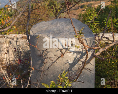 Ruinen des sportlichen Bereich der antiken Samos Griechenland, einer der vielen Sehenswürdigkeiten in der Nähe von Pythagorio Spalte Fragment und vegetation Stockfoto