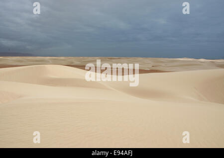 Sokotra, Jemen, 4x4 Tour: Übersicht von den Sanddünen von Stereo in den geschützten Bereich der Aomak Strand, Zentrum der einzigartigen Artenvielfalt Stockfoto