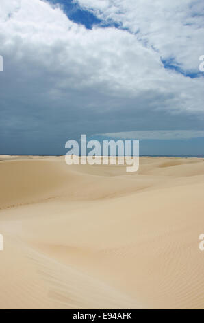 Sokotra, Jemen, 4x4 Tour: Übersicht von den Sanddünen von Stereo in den geschützten Bereich der Aomak Strand, Zentrum der einzigartigen Artenvielfalt Stockfoto