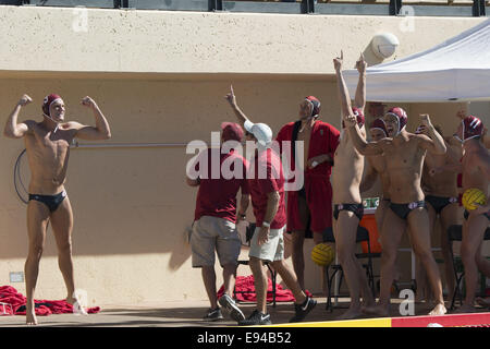 Stanford, Kalifornien, USA. 18. Okt, reagieren 2014.Members und Trainer von der Stanford-Männer-Wasserball-Nationalmannschaft zu ihrem Sieg gegen USC bei Avery Aquatic Center auf Samstag, 18. Oktober 2014. Stanford gewann eine enge Übereinstimmung, 11-10, indem Sie ihnen ihren zweiten Sieg gegen die Nation bestplatzierte Team nach dem Sieg über dann Nr. 1 UCLA am SoCal Turnier am vergangenen Sonntag (7: 6). Es zog Stanford in insgesamt 16-2 und 2: 0 in MPSF Aktion und war auch seinen ersten Sieg gegen eine Nr. 1 USC-Mannschaft seit 9. Oktober 2010 Credit: Tracy Barbutes/ZUMA Draht/Alamy Live News Stockfoto