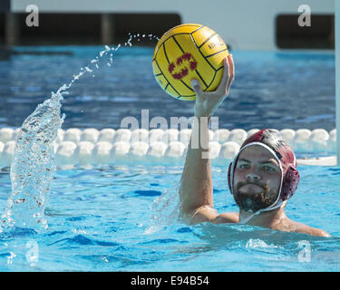 Stanford, Kalifornien, USA. 18. Okt 2014.Stanford Torwart, DREW HOLLAND, wieder den Ball in die Straftat in einem Spiel gegen USC bei Avery Aquatic Center am Samstag, 18. Oktober 2014. Stanford gewann 11-10. Der Sieg war des Kardinals zweiter in Folge gegen die Nation bestplatzierte Team nach dem Sieg über dahin-Nr. 1 UCLA am SoCal Turnier am vergangenen Sonntag Credit: Tracy Barbutes/ZUMA Draht/Alamy Live News Stockfoto