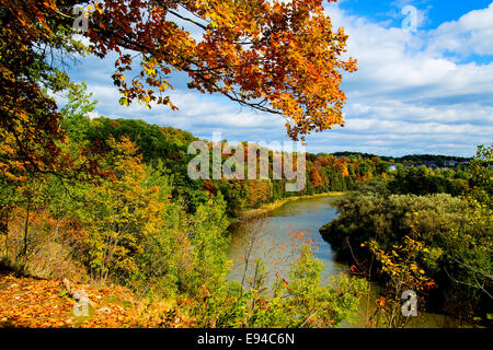 Der Grand River in Herbstfarben. Homer Watson Park Kitchener Ontario Kanada Stockfoto