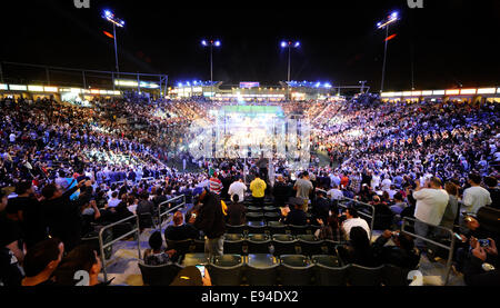 UNS. 18. Oktober 2014. CARSON, KALIFORNIEN. Eine geschätzte krähte von 9.300 kam zu sehen Russland Gennady Golovkin geht 2 Runden mit Mexikos Marco Antonio Rubio Samstagabend am StubHub Center. Gennady Golovkin holte den Sieg KO in der Mitte der 2d Runde, als der Kampf Halt nach der 10 Graf von Ref Jack Reiss war. Bildnachweis: Gene Blevins/ZUMA Draht/Alamy Live-Nachrichten Stockfoto