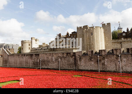 Blut Mehrfrequenzdarstellung Länder und Meere rot, Keramik Mohn Installation am Tower of London, England, UK Stockfoto