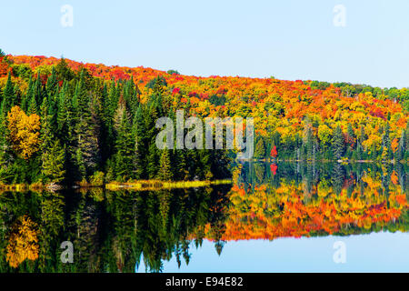 Algonquin Provincial Park Brewer See Herbstfarben. Ontario Kanada Stockfoto