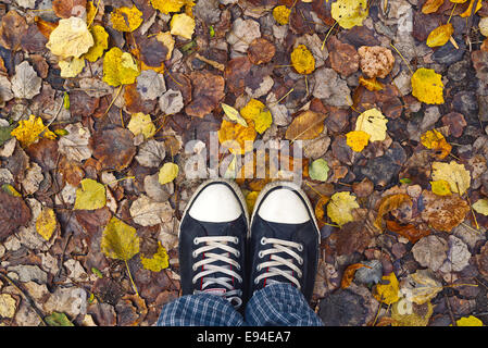 Im Herbst Laub, Eintritt in die Herbstsaison stehen. Stockfoto