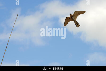 Landwirtschaftlichen Vogel Nageltiereverscheucher Stockfoto