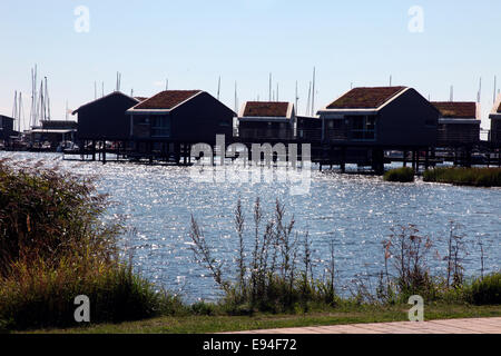 Ferienhäuser auf Stelzen im IM Jaich Resort Village in Lauterbach, Insel Rügen. Stockfoto
