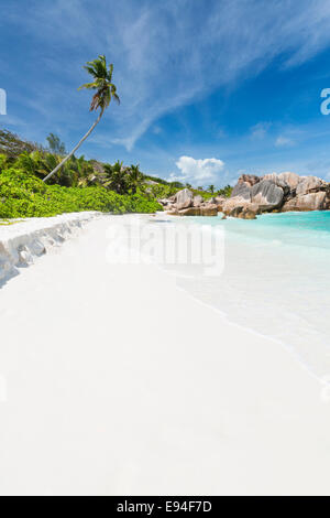 Kokosnuss Palmen und türkisfarbenes Wasser im Anse Cocos, La Digue, Seychellen Stockfoto