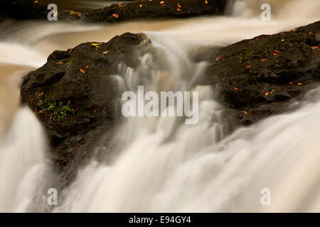 Der spektakuläre, schnell fließende Arbirlot Waterfall und das Elliot Water befinden sich in der Nähe von Arbroath in Schottland, Großbritannien Stockfoto