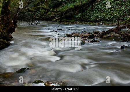 Der spektakuläre, schnell fließende Arbirlot Waterfall und das Elliot Water befinden sich in der Nähe von Arbroath in Schottland, Großbritannien Stockfoto