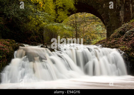 Der spektakuläre, schnell fließende Arbirlot Waterfall und das Elliot Water befinden sich in der Nähe von Arbroath in Schottland, Großbritannien Stockfoto