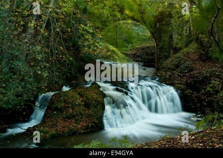 Der spektakuläre, schnell fließende Arbirlot Waterfall und das Elliot Water befinden sich in der Nähe von Arbroath in Schottland, Großbritannien Stockfoto