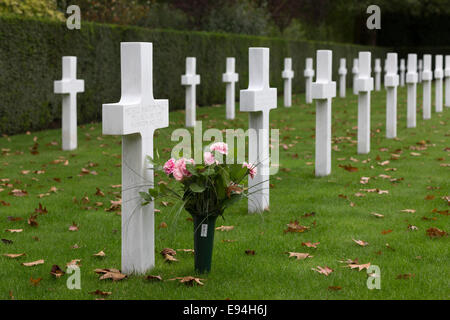 Weiße Kreuze in Flanders Field, American Cemetery, Waregem, Belgien. Stockfoto