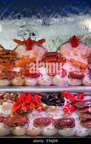 Krabben, Hummer, Muscheln und Muskeln zum Verkauf an einen Fischmarkt in der Nähe von Bastille, Paris, Frankreich Stockfoto