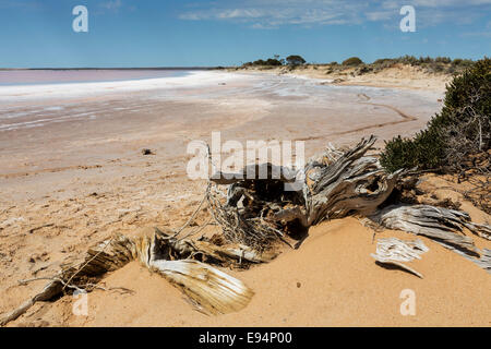 See-Tyrrell ist ein Salzsee in der Nähe des viktorianischen Land von Meer See in Australien gefunden. Stockfoto