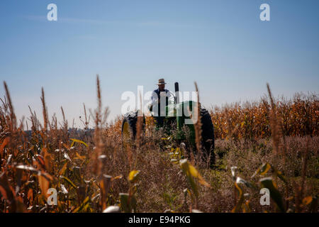 Ein Landwirt arbeiten seinen Mais mit seinem Vintage John Deere Traktor in Wisconsin Stockfoto