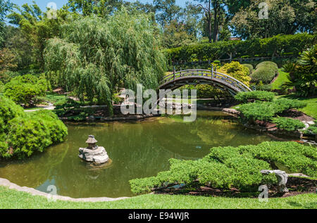 Kalifornien, San Marino, The Huntington, Botanischer Garten, japanischer Garten, Mond-Brücke Stockfoto